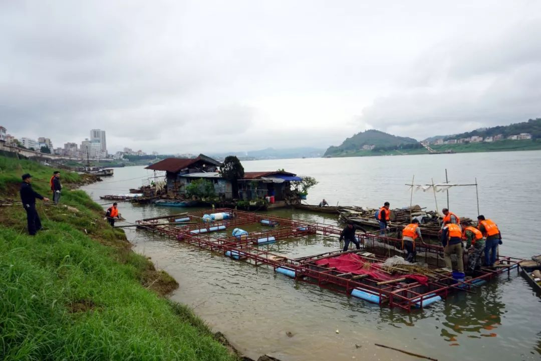 郁南县集中整治西江流域网箱养殖