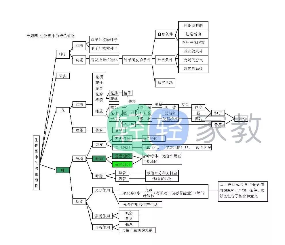 22张生物思维导图,知识点全掌握!