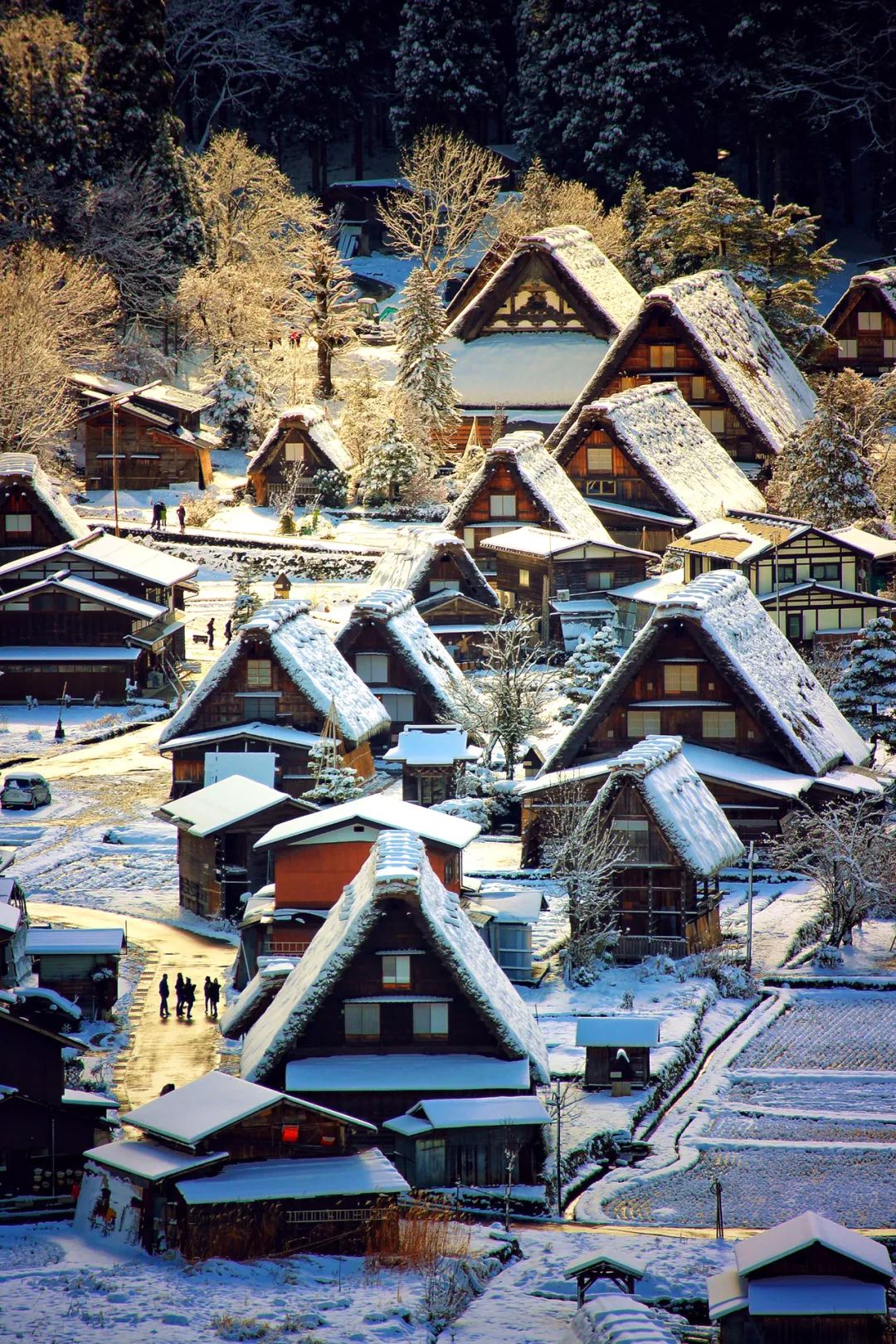 515日本一期一会立山黑部雪墙富士芝樱盛典童话小镇白川乡原味北陆