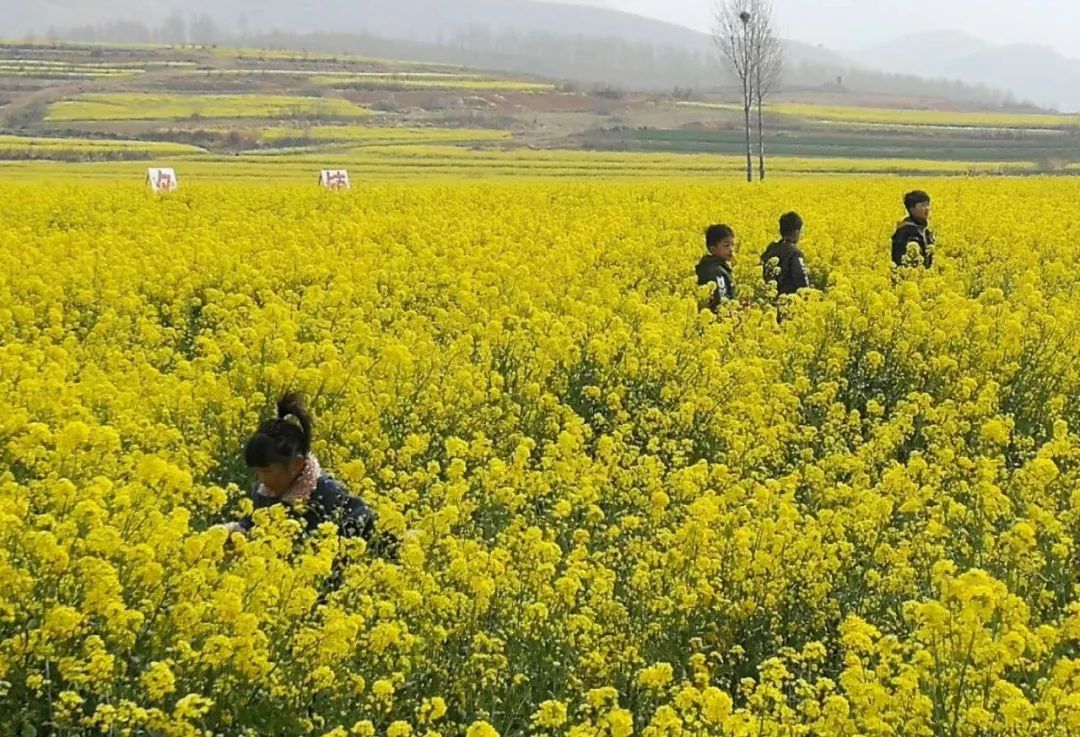 方城今天發生的事兒···(4月1日)