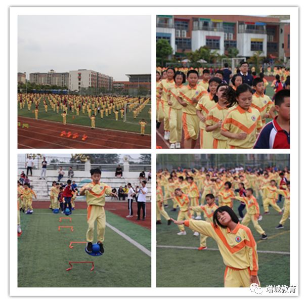 广州碧桂园小学图片