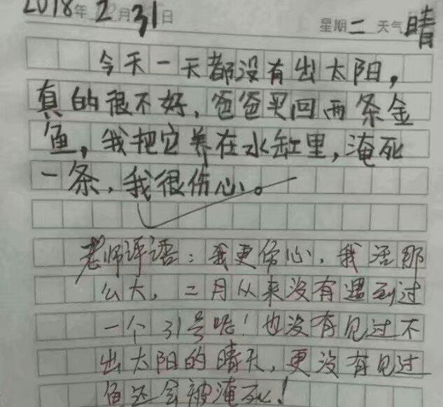 小學生的搞笑作文,笑到顫抖流眼淚,老師的回覆更想讓我跪下!