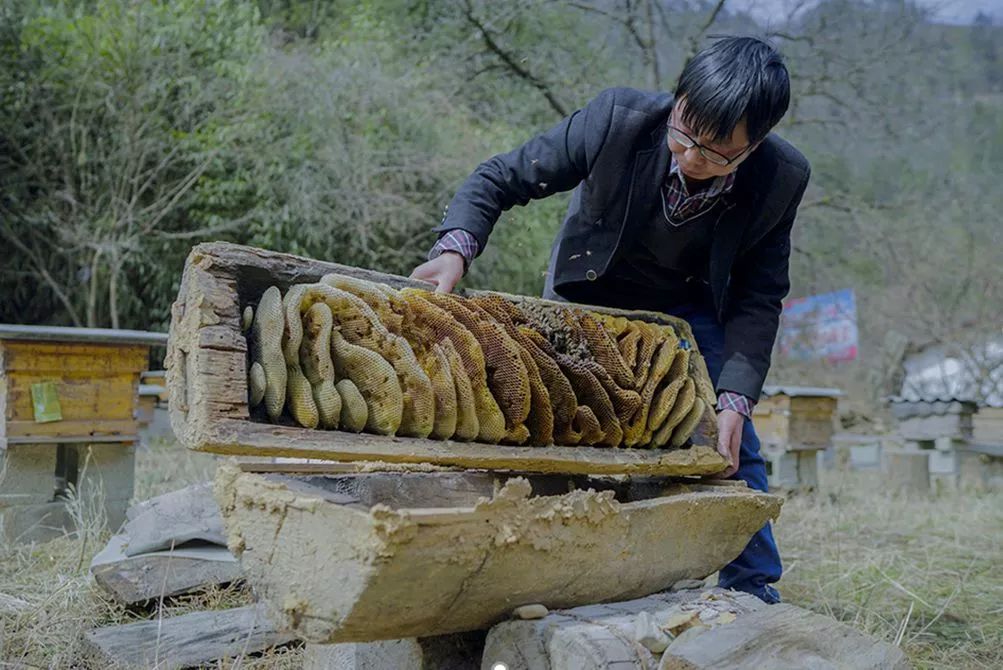 廖開兵家裡還留著爺爺用過的老式土蜂箱,每次看到它們,他都會想到爺爺