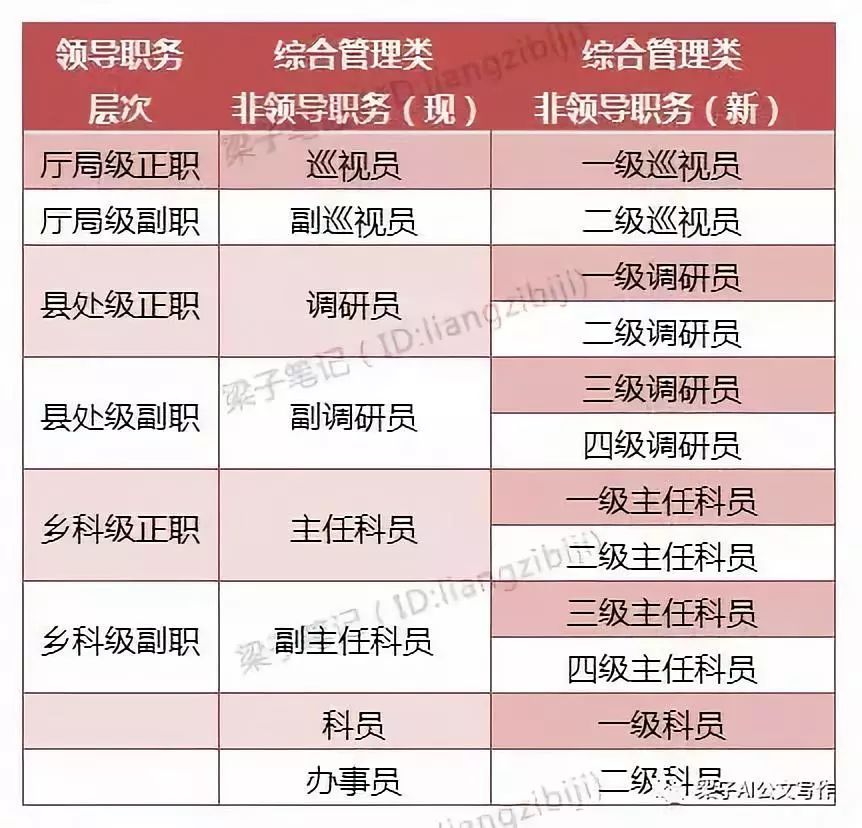 慧學習公務員職務與職級並行規定深度分析