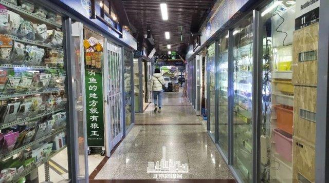 市場位於紫竹橋東北角新官園花鳥魚蟲工藝品市場許多小夥伴也叫它它就