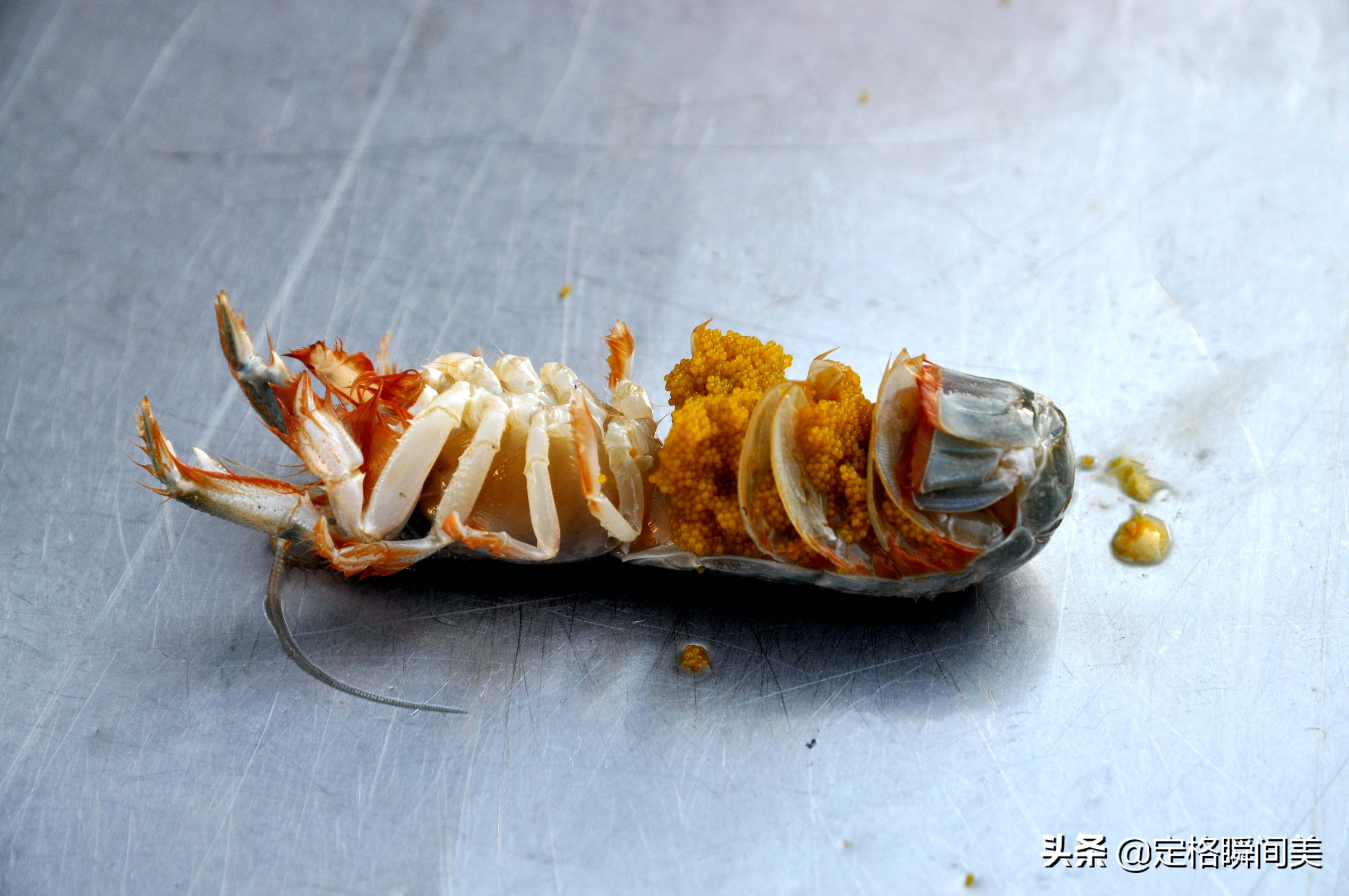 青岛早市新鲜土特产海蜂子50元2斤 小伙经营有道一斤赚双份钱