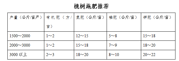 桃树要高产施肥有技巧