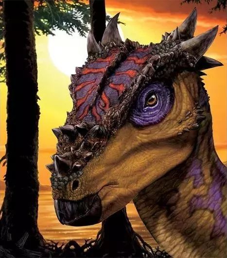 恐龙大明星来自霍格华兹的神奇生物龙王龙