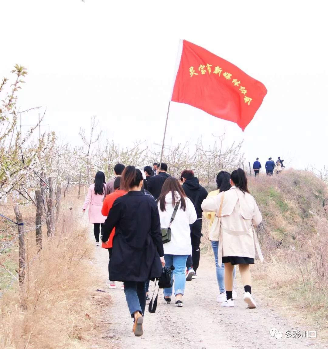 旅遊局,電視臺,手機臺,大河網,市攝影家協會,百度貼吧,靈寶微生活