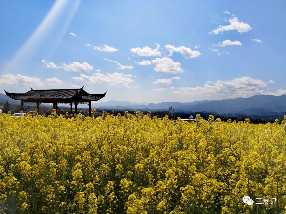 漫步騰衝來鳳山花兒為什麼這樣紅