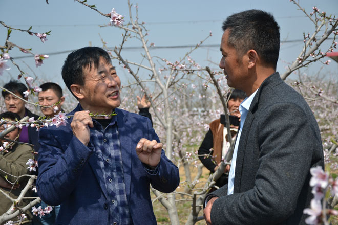 暨中草藥微生物菌劑推廣會在蘭陵縣尚巖鎮新農人張祥全的百畝桃園舉行