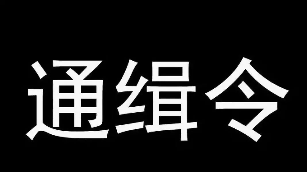 重磅安福县李大苟涉黑团伙入网还有三名在逃人员