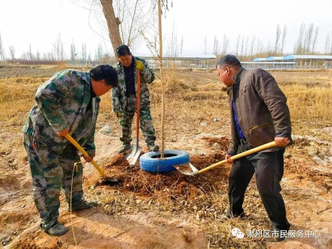 区文化广电和旅游局丰乐镇黄泥堡裕固族乡区环卫局清水镇区委宣传部