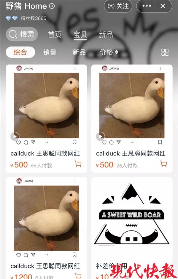 王思聪30000元同款宠物鸭,惊现南京?