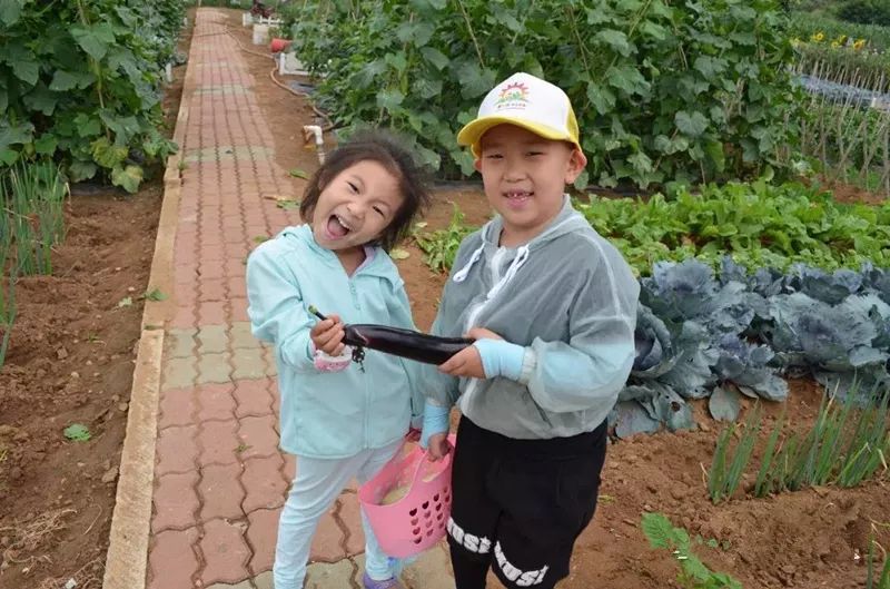 想在鮁魚圈做瀟灑的城市農夫嗎快來小望海農樂園實現田園夢