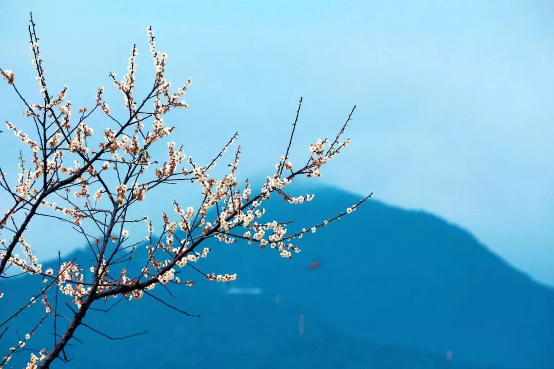 歷盡生活的滄桑磨難願你我依然豁達樂觀