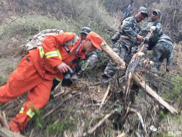 凉山消防员死亡图图片