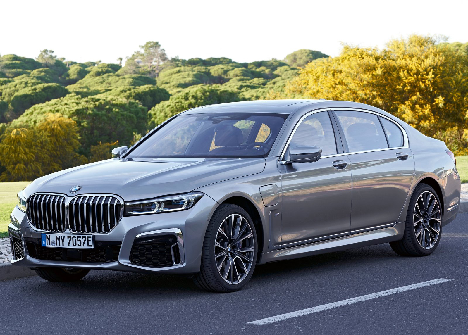 宝马bmw 745le (2020)图片欣赏