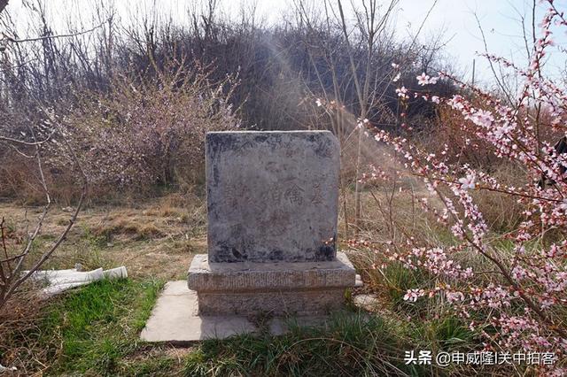 咸阳周陵镇:拜谒鲁公伯禽墓