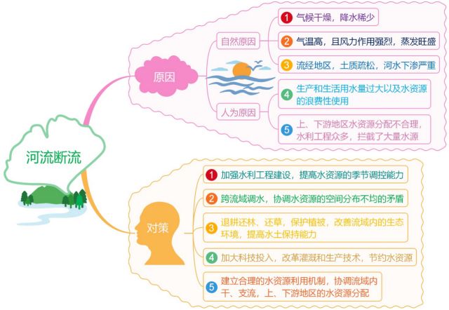 森林湿地思维导图图片