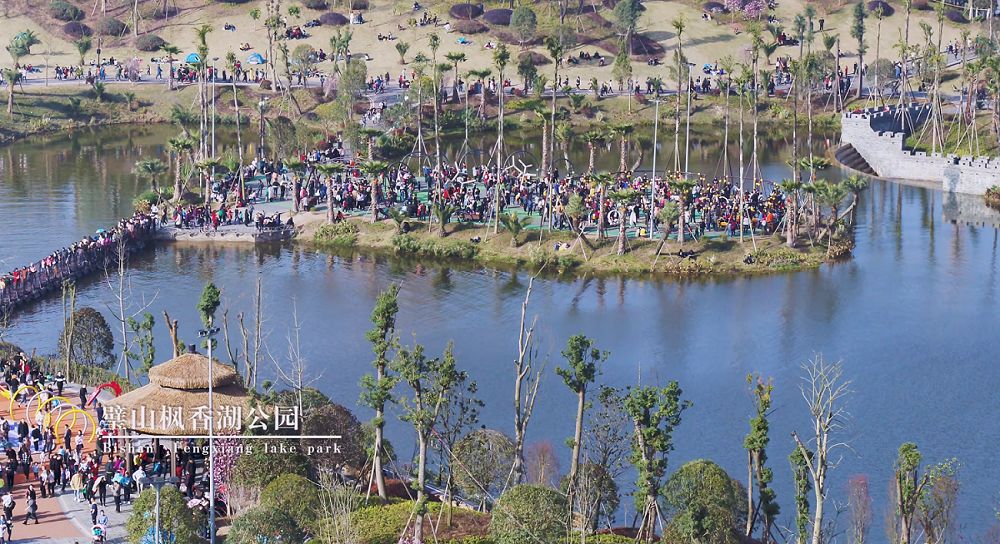 這裡有抖音爆火楓香湖兒童公園璧山電視塔公園這裡有登塔俯瞰璧山全貌