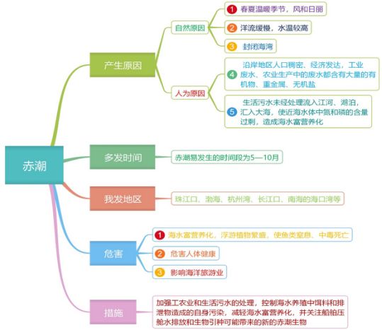 森林湿地思维导图图片