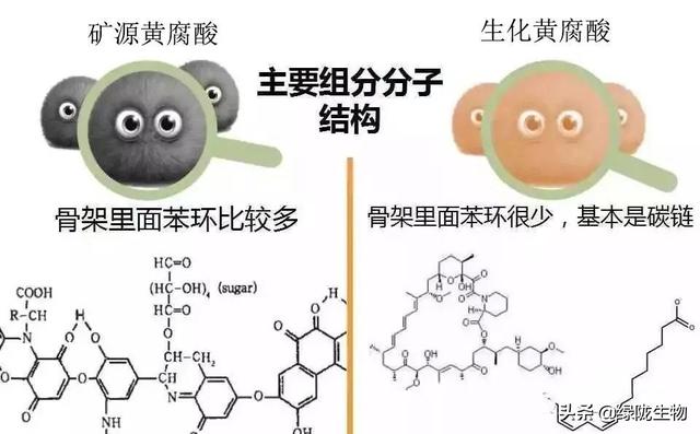 神奇的黄腐酸