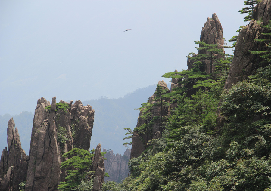 春遊黃山一見傾心暖春四月邂逅黃山奇景遇見蓮花峰