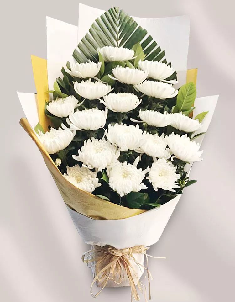 怀念逝者白菊花束图片图片