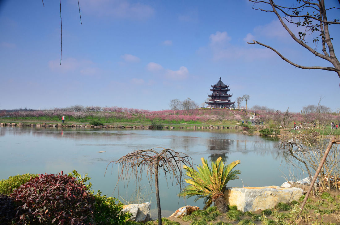 上海海灣國家森林公園,位於上海市奉賢區海灣鎮五四農場境內,是以森林