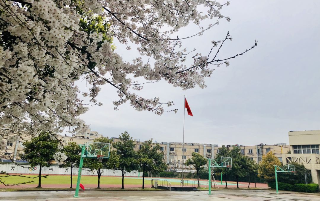 北仑区长江中学↑奉化区莼湖中心小学↑奉化武岭中学