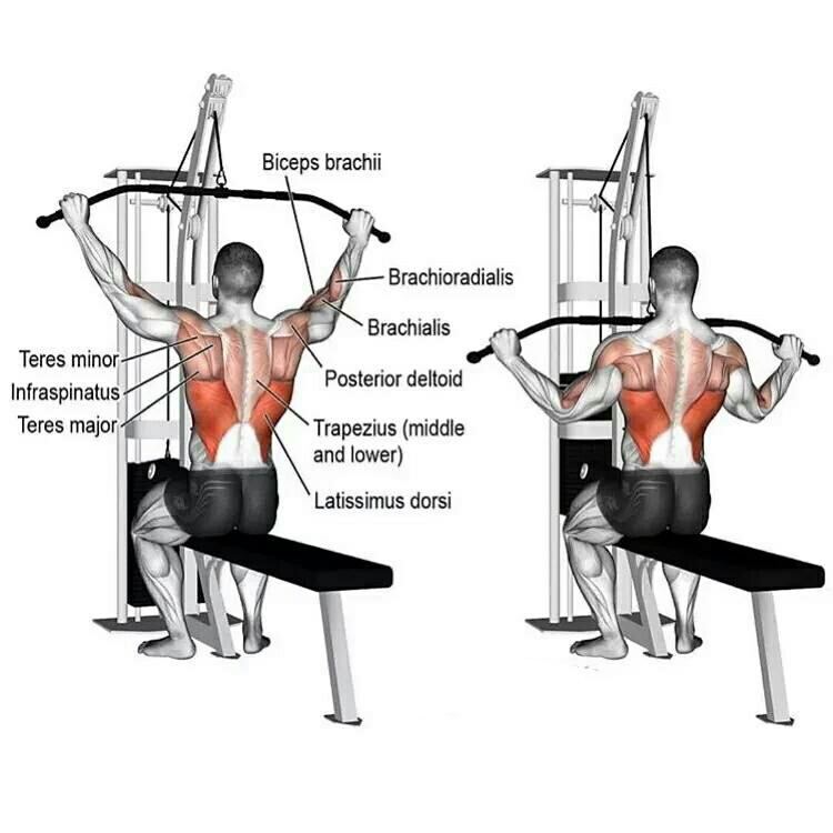 背部练起来8个动作全面虐背改善含胸驼背塑造倒三角身材
