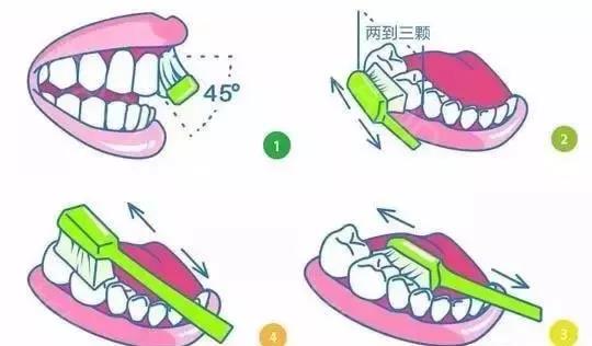 原创刷牙要醮水吗?横着刷还是竖着刷?原来很多人都做错了