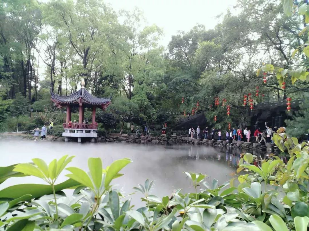 【4月6日|清明假期】挑戰羅浮山飛雲頂,賞千米高峰絕美風景