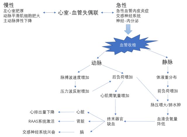 这也是高血压性急性心力衰竭肺淤血的主要机制(图 1)