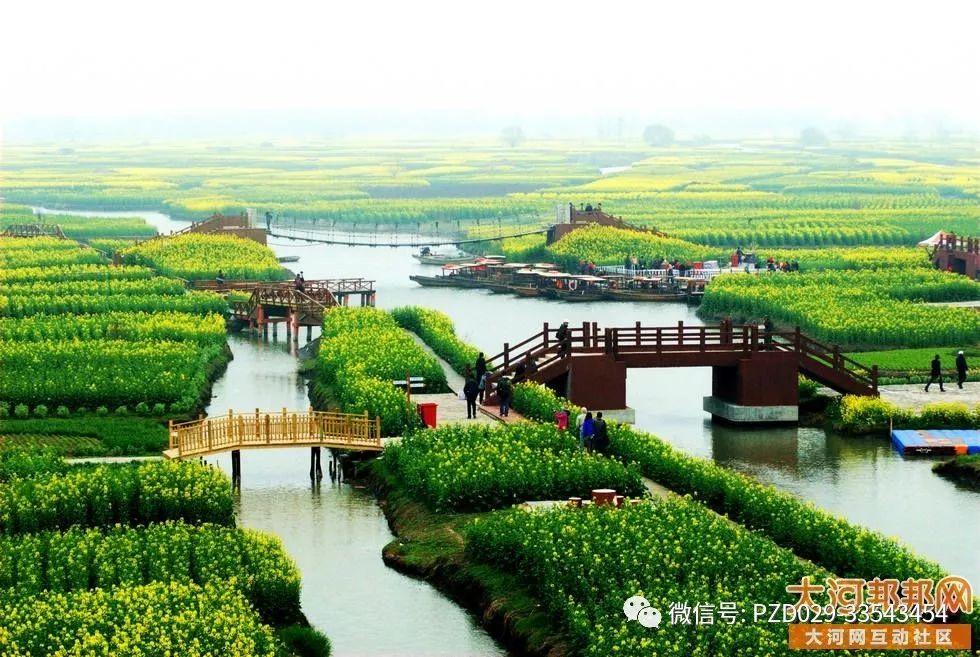 江蘇興化油菜花,位於興化市缸顧鄉東旺村,以千島樣式形成的垛田景觀