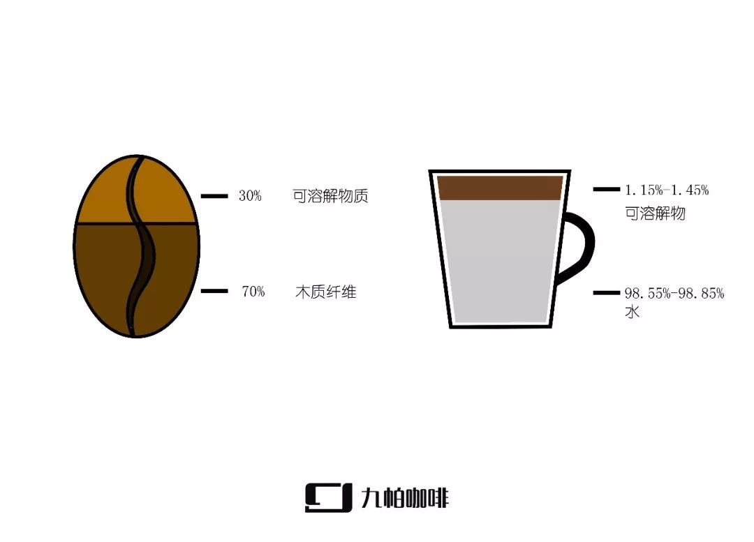 咖啡萃取系列粉水比例對咖啡萃取風味的影響