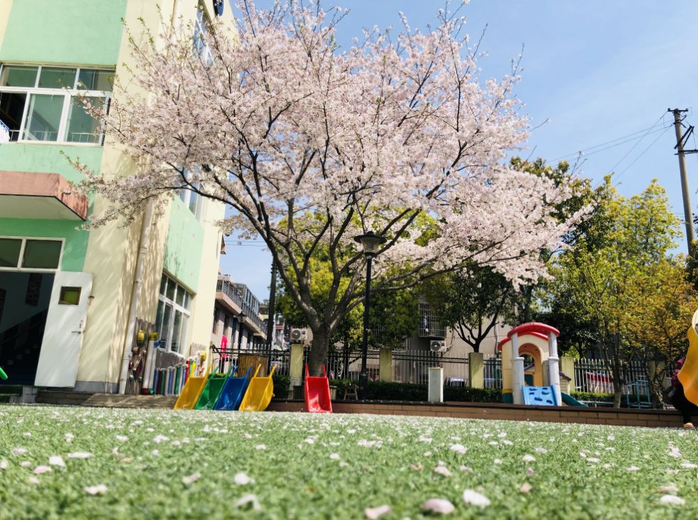 城区中心小学↑宁波市效实中学↑宁波市鄞州中学↑宁波市