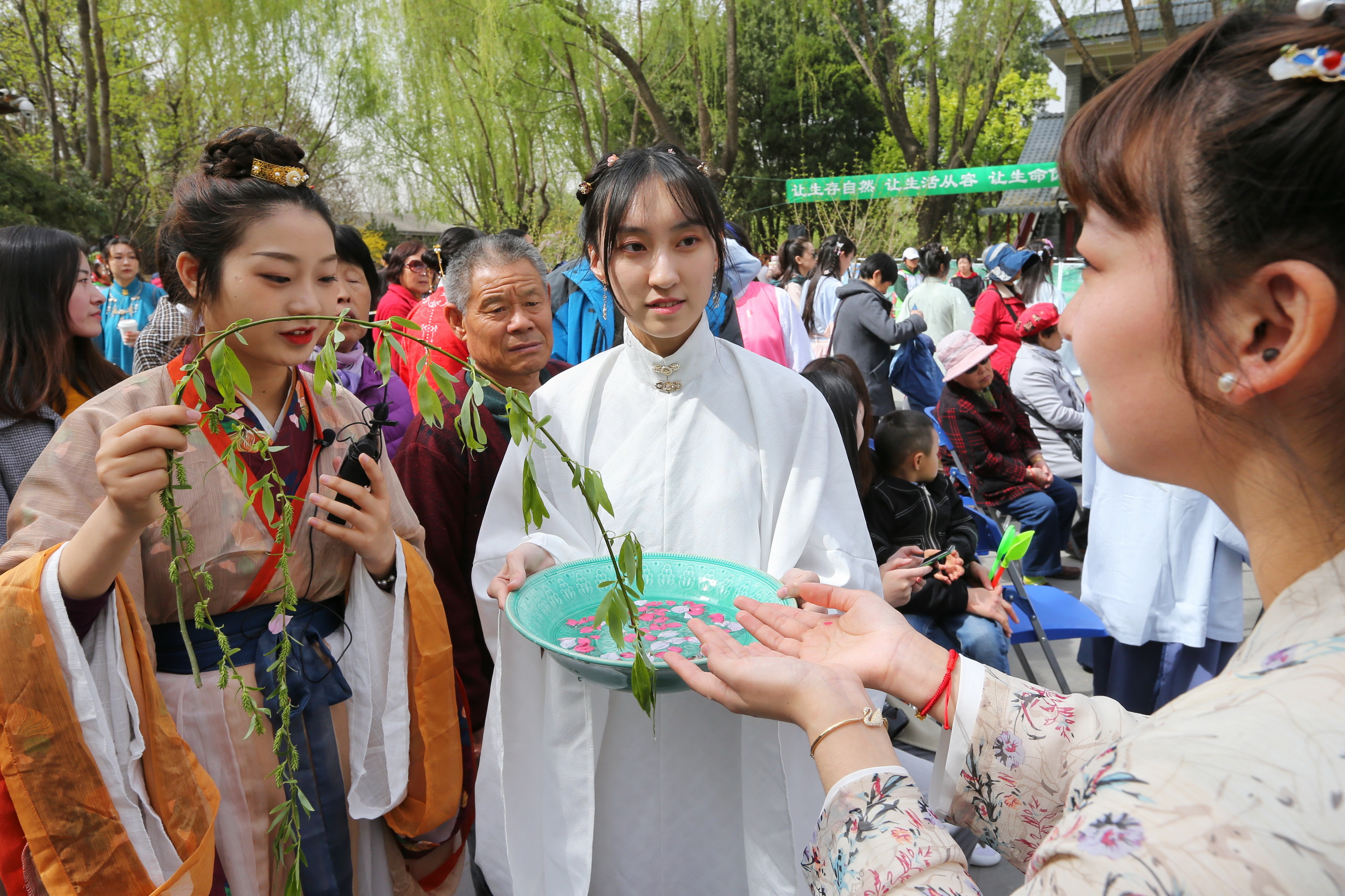 清明节插柳枝图片