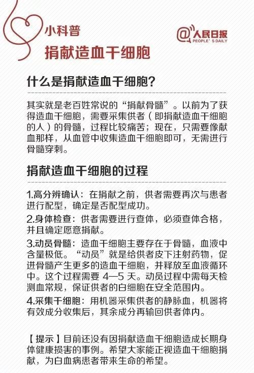 骨髓移植对捐献者危害图片