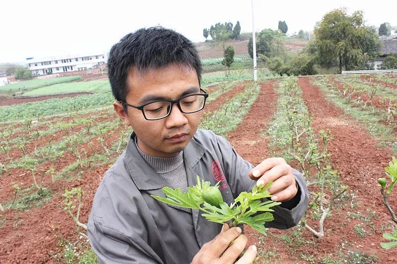 回家"捏泥巴,威远这个戴眼镜的小伙,放弃了万元月薪…_曹德刚