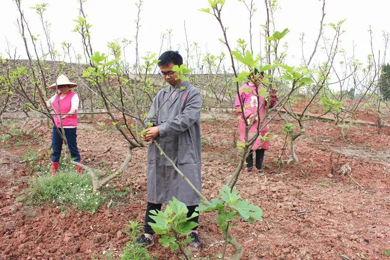 回家"捏泥巴,威远这个戴眼镜的小伙,放弃了万元月薪…_曹德刚