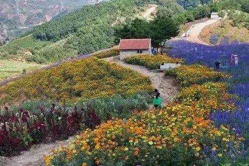 承赤高速七家收費站→軍成農業草莓園→億福農業生態園→楓水灣溫泉城