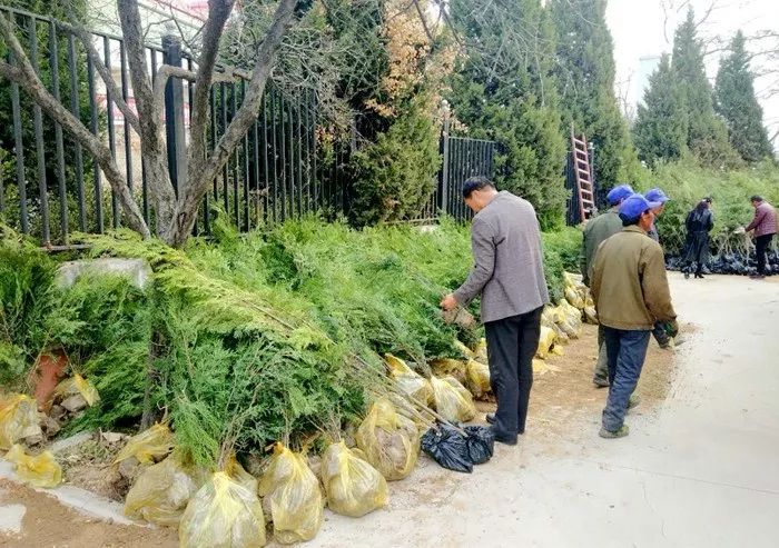 自覺摒棄燒紙燒錢,燒香燭,放鞭炮等陳規陋習,大力提倡鮮花祭祀,植樹