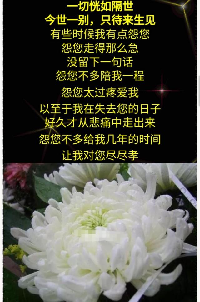 清明节,致天堂的妈妈!