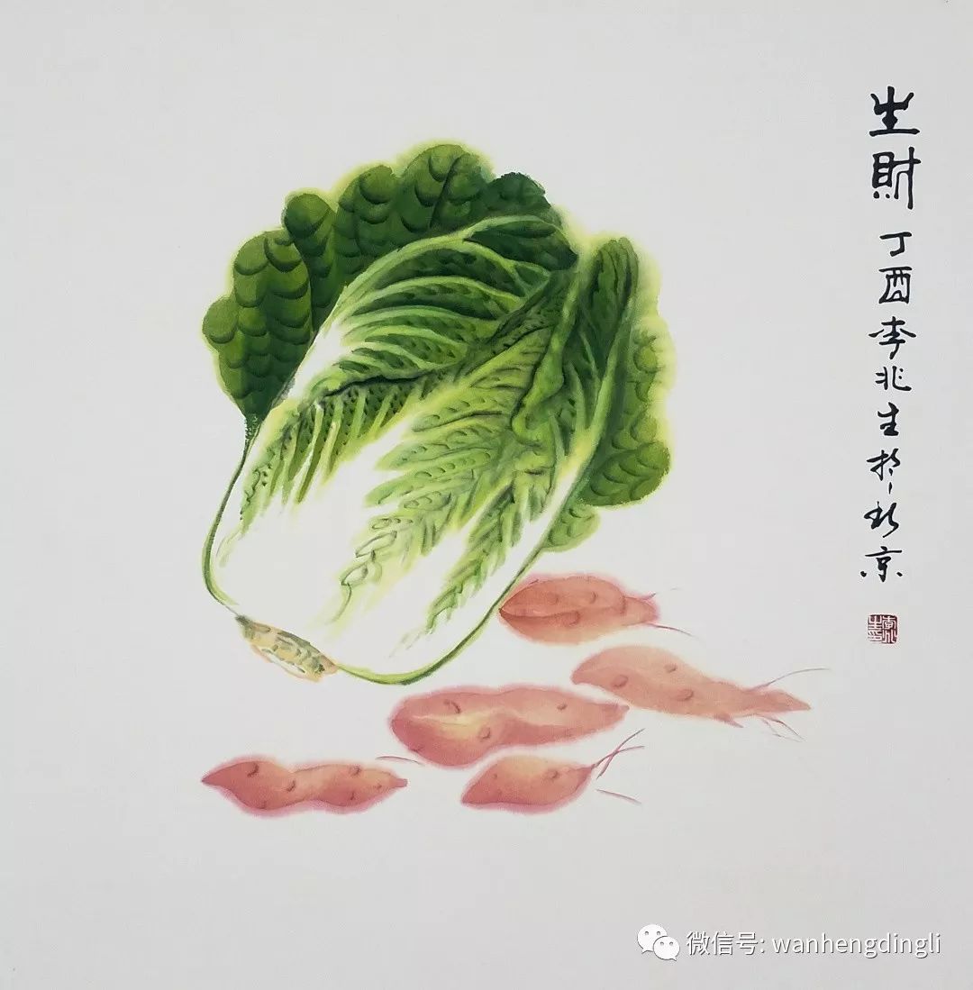 李兆生画家白菜图片