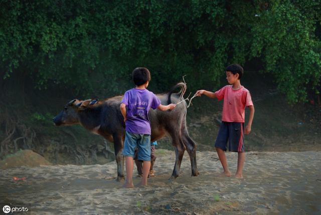 農村小孩子在地上滾土裡爬,為什麼很少得病呢?