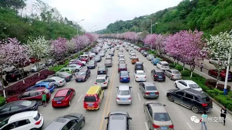 柳州广场路图片