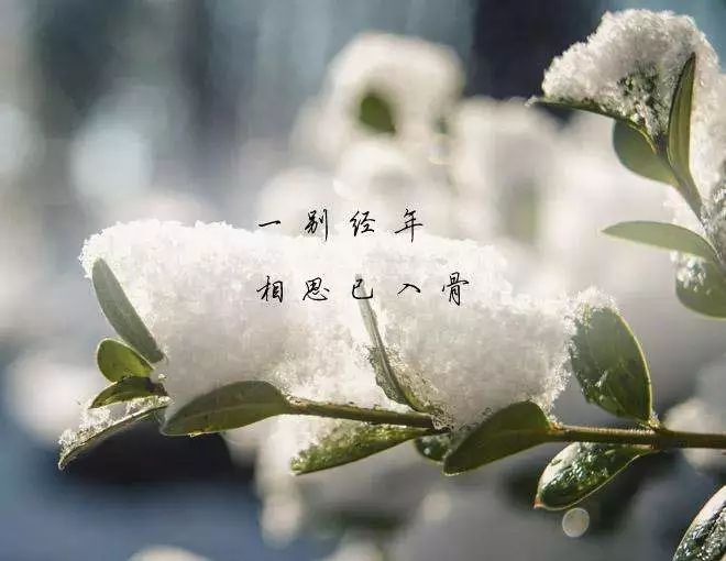 清明雨上願你一切安好