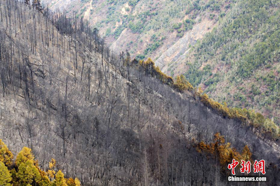 四川木裡森林火災火場已無蔓延危險 確認為雷擊火_涼山州